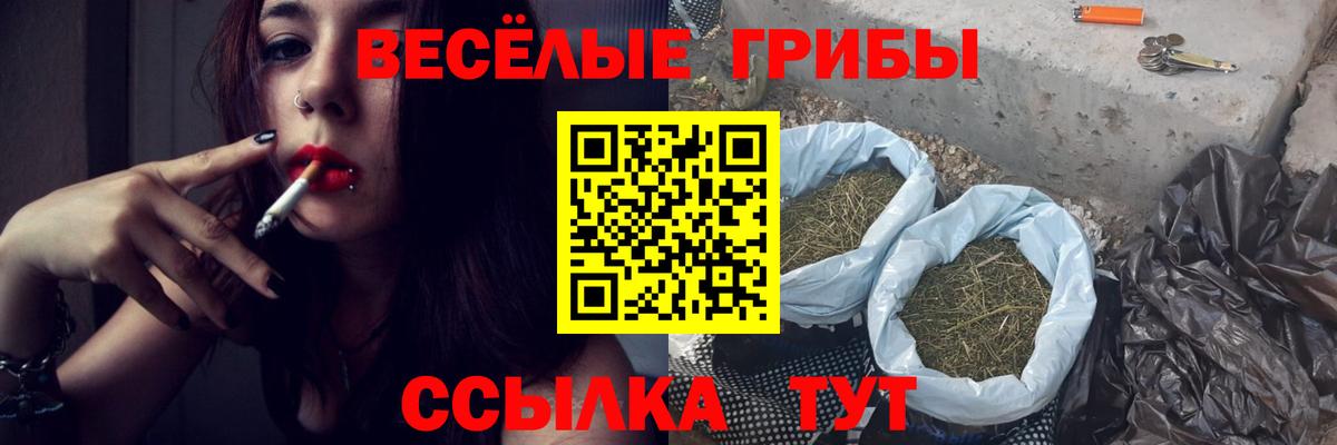 Галлюциногенные грибы мухоморы Коломна